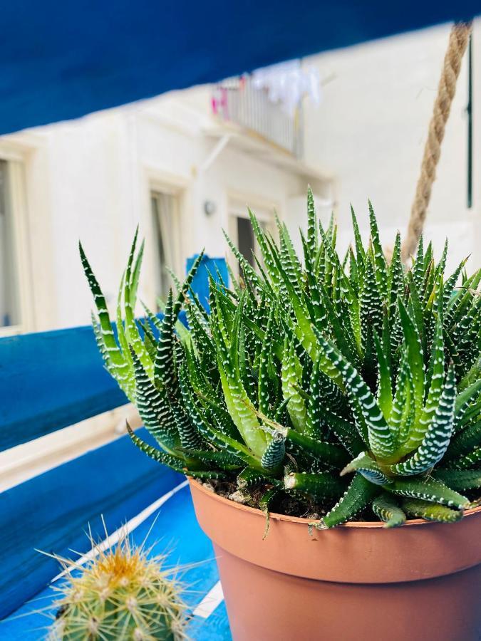 Dimora Alfa Apartment Polignano a Mare Luaran gambar